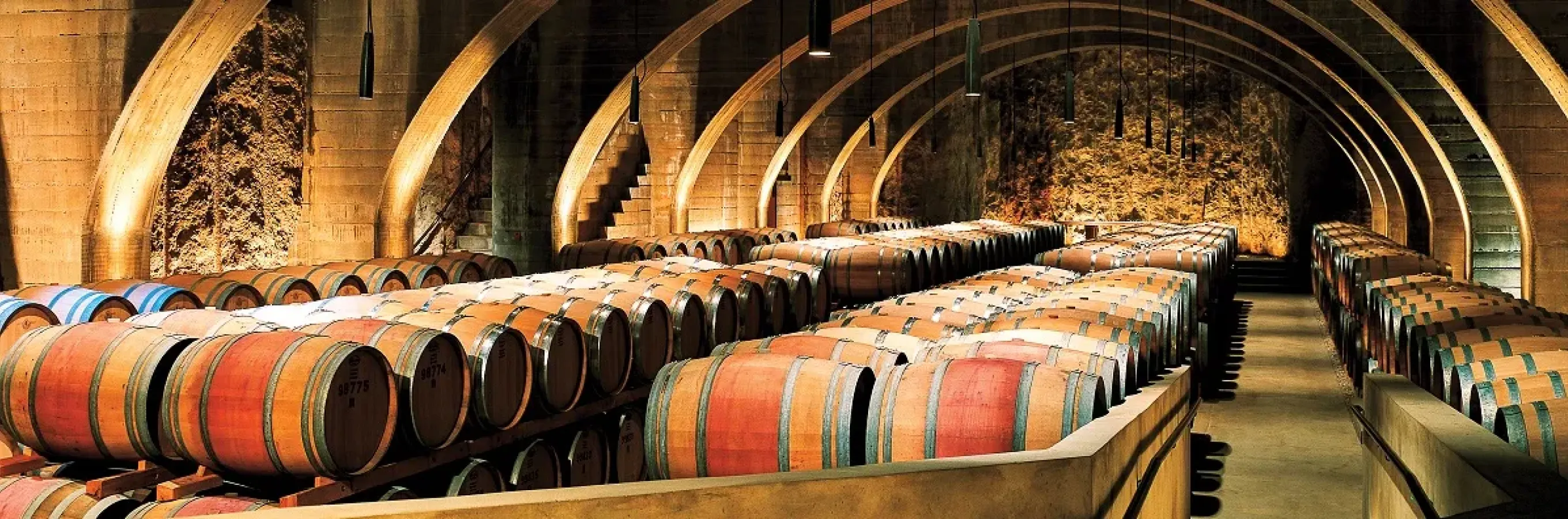 Les barils dans le cellier du domaine familial de Mission Hill