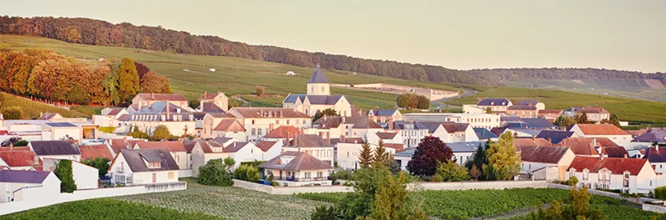 Champagne region