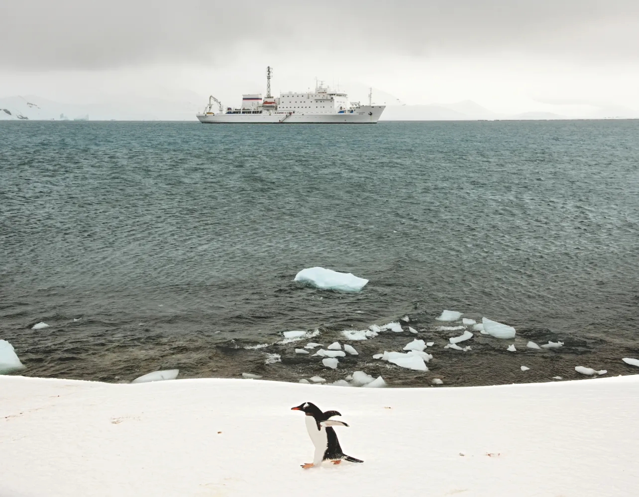 The Akademik Ioffe in the distance